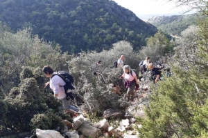 KONACIK- SARNIÇ-PEDASA- ANTİK TİYATRO SPORTİF DOĞA YÜRÜYÜŞÜ