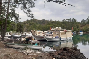 DATÇA BALIKAŞIRAN-ALAÇATI KOYU (BALIKÇI LİMANI) KAMP